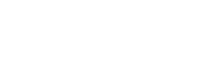 Naqed logo